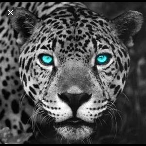 Meet your Posher, Ava